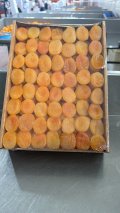 SULPHURED DRIED APRICOTS