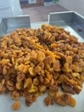 INDUSTRIAL DRIED APRICOTS
